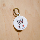 QR pet id tag, a pet tag Disco cat | Animal-id.net