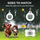 Custom QR Pet Tag | Stainless Steel | Animal ID