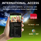 Custom QR Pet Tag | Stainless Steel | Animal ID