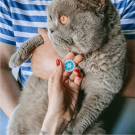 Designer QR pet id tag Winter's tale