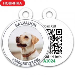 A tag with Your pet`s photo, nickname and owner`s phone number