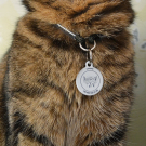 Social QR pet id tag pet tag Save The life | Animal-id.net 