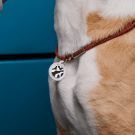 Designer QR pet id tag Black and white