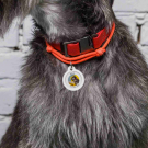 QR pet id tag - customizable pet tag | Animal-id.net