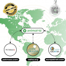 Microchip Kit Mini + QR Pet Tag – Protect and Identify Your Pet