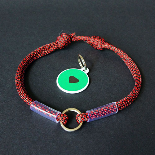 Tag collar red S