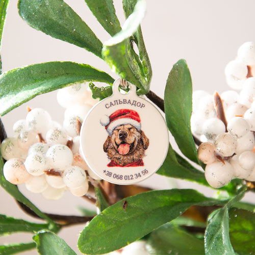 Designer QR passport Christmas Dog