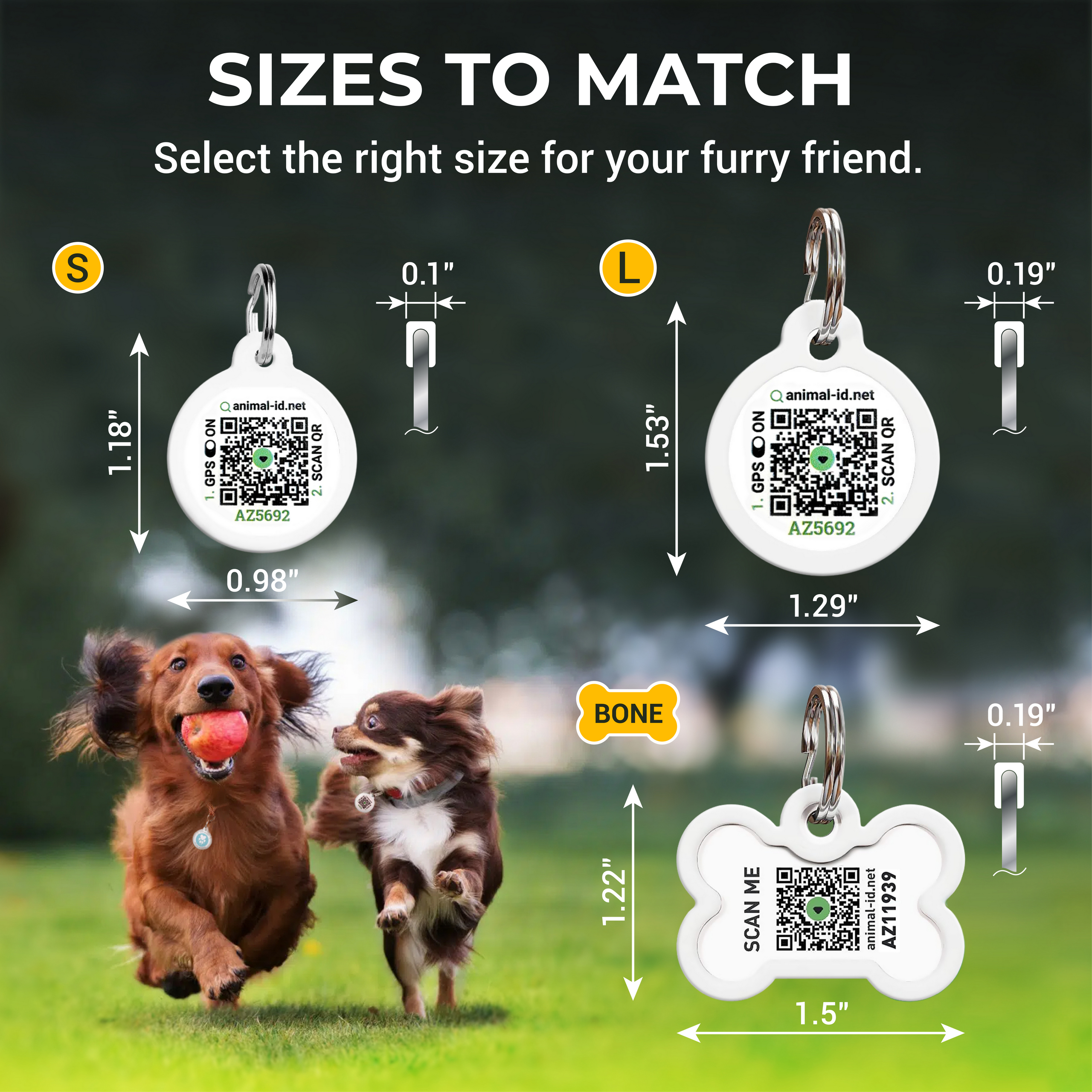 Custom QR Pet Tag | Stainless Steel | Animal ID