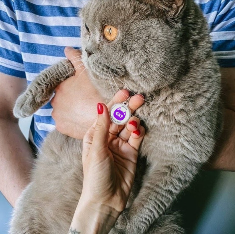 Designer QR pet tag I’m your kitty
