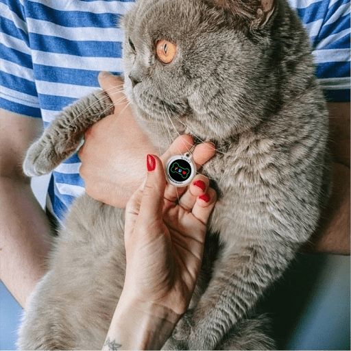 Designer QR Pet ID Tag Bingo Bone