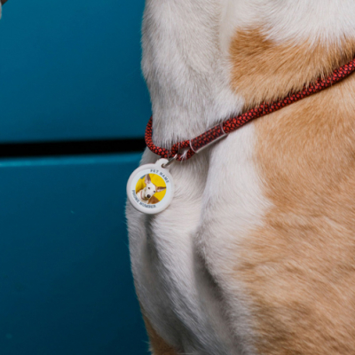 Personalized QR pet id tag Animal ID 