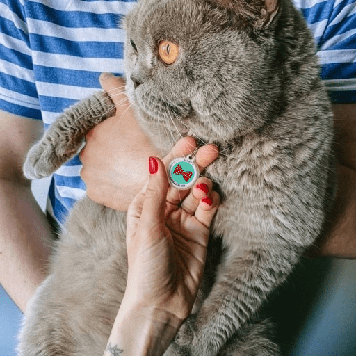 Designer QR pet id tag Perfect Bow