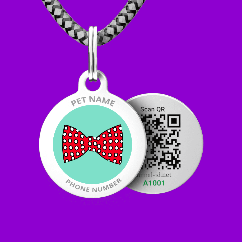 Designer QR pet id tag Perfect Bow
