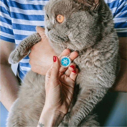 Designer QR pet id tag Winter's tale