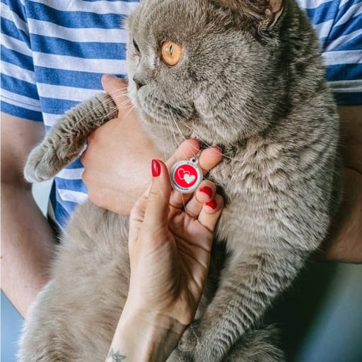 Designer QR Pet ID Tag My Beloved Heart