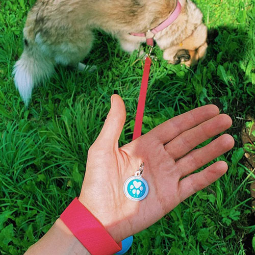 QR pet id tag - pet tag for "I want a dog" shelter | Animal-id.net