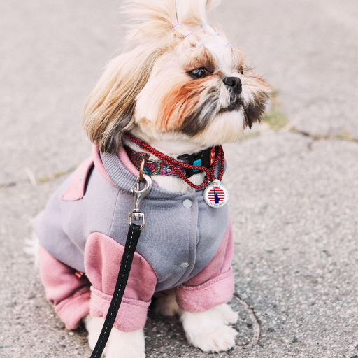 Designer QR pet id tag Freedom