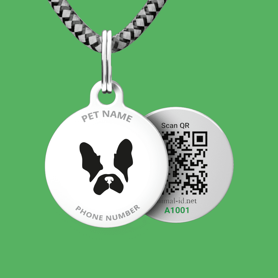 Designer QR pet id tag Mate