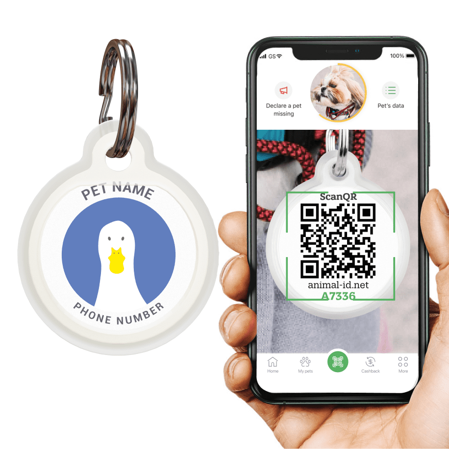 Designer QR pet id tag The goose on the loose