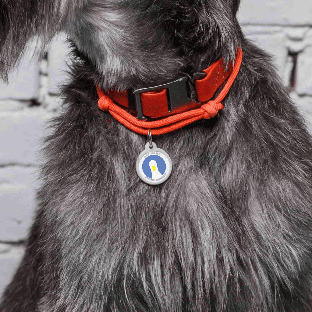 Designer QR pet id tag The goose on the loose
