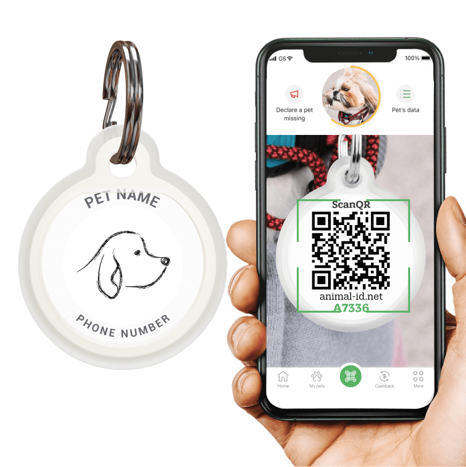 Designer QR pet id tag Dog sketch