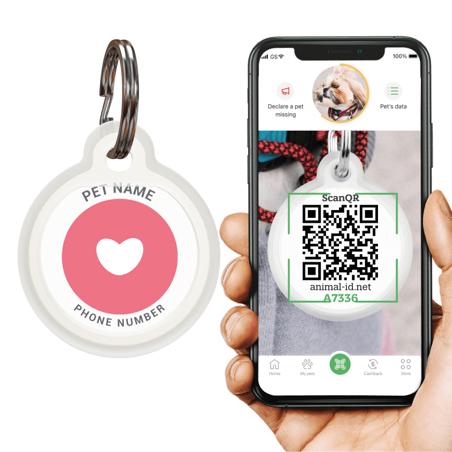 Designer QR pet id tag Love's everywhere