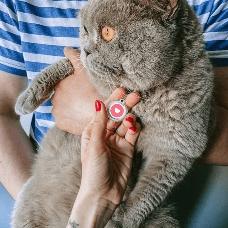 Designer QR pet id tag Love's everywhere