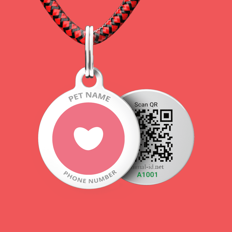Designer QR pet id tag Love's everywhere