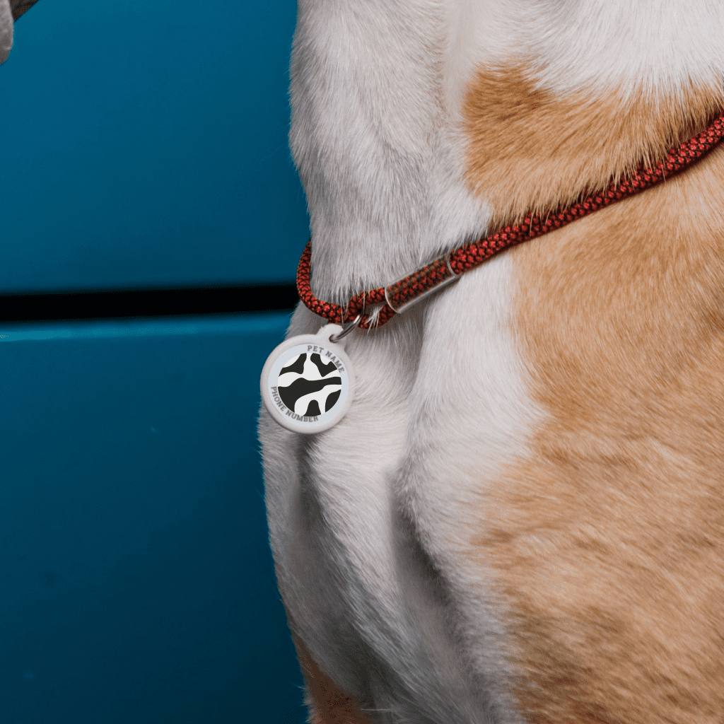 Designer QR pet id tag Black and white