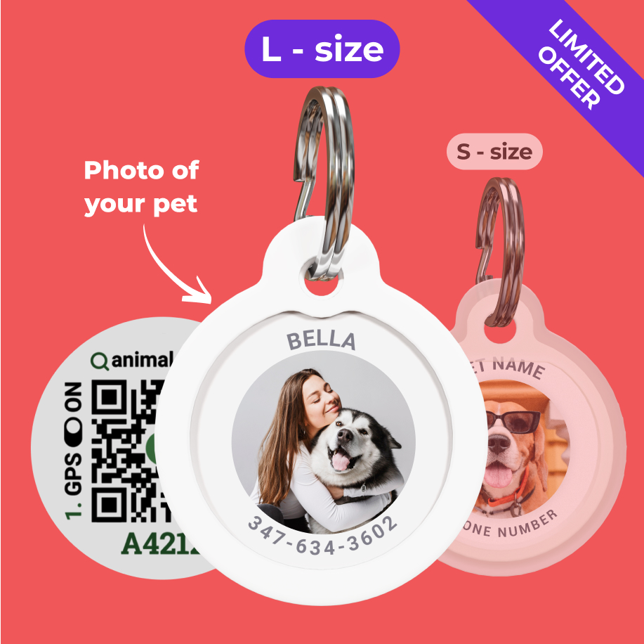 QR pet id tag - customizable pet tag | Animal-id.net