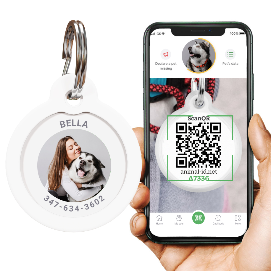 QR pet id tag - customizable pet tag | Animal-id.net