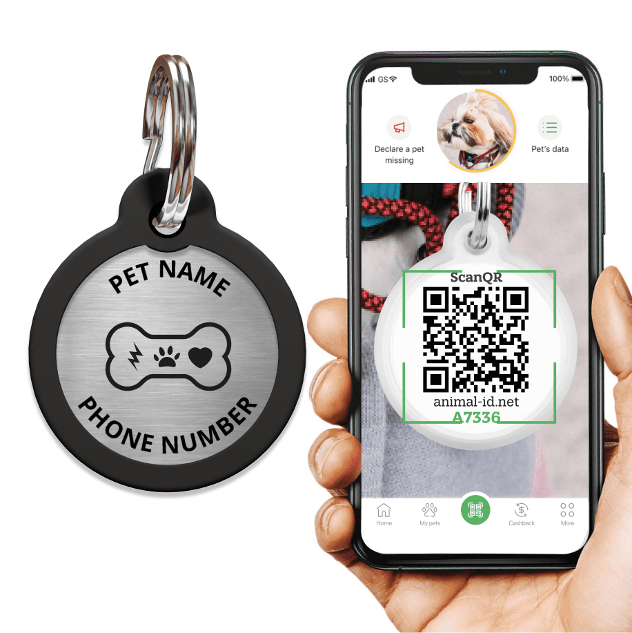 Engraved QR pet tag Bingo Bone