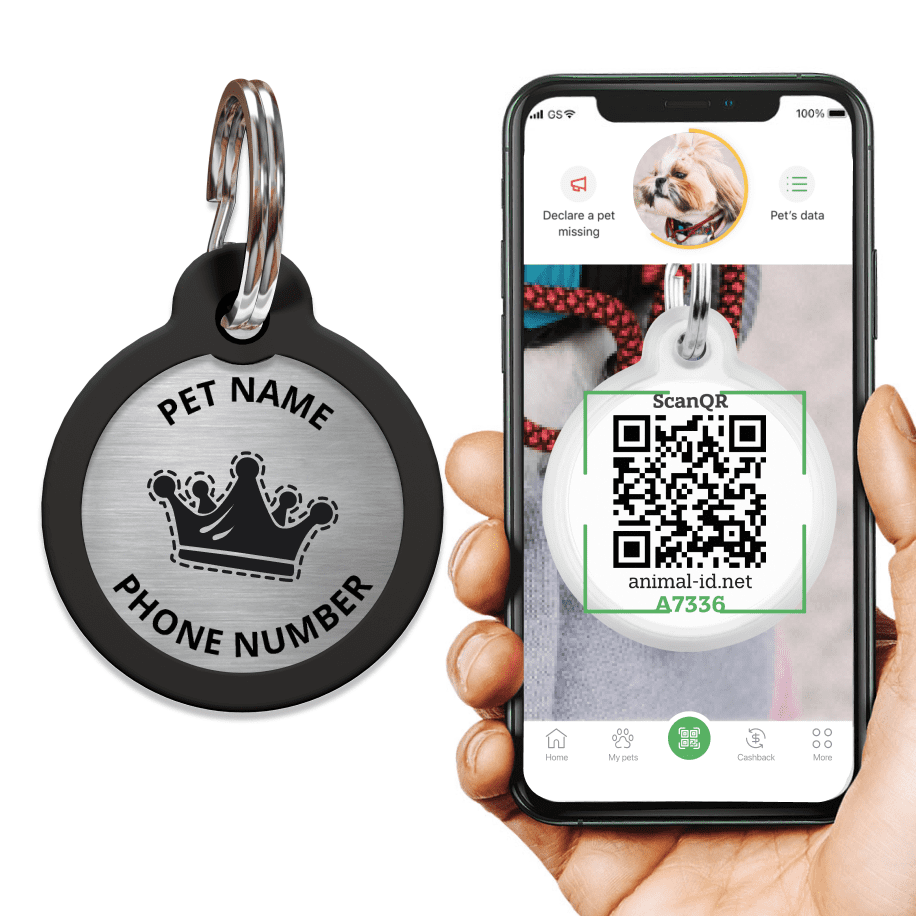 Engraved QR pet tag Princess Girl